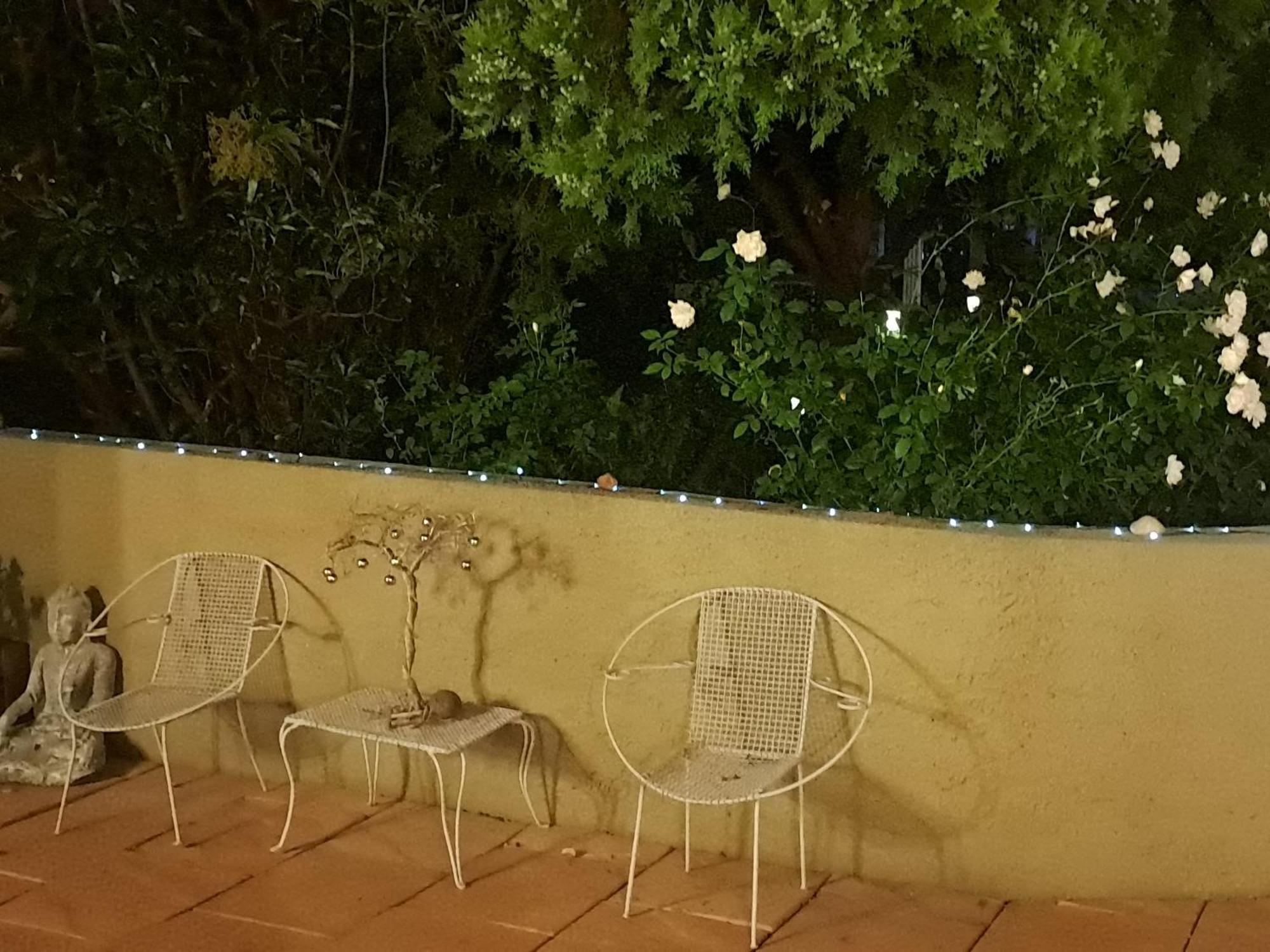 Gabbys Cottage Guesthouse Блумфонтейн Экстерьер фото